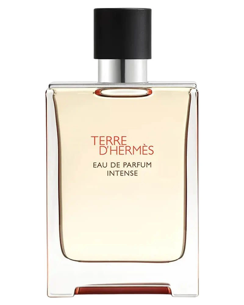 Terre d'Hermès Eau de Parfum Intense 100 ml