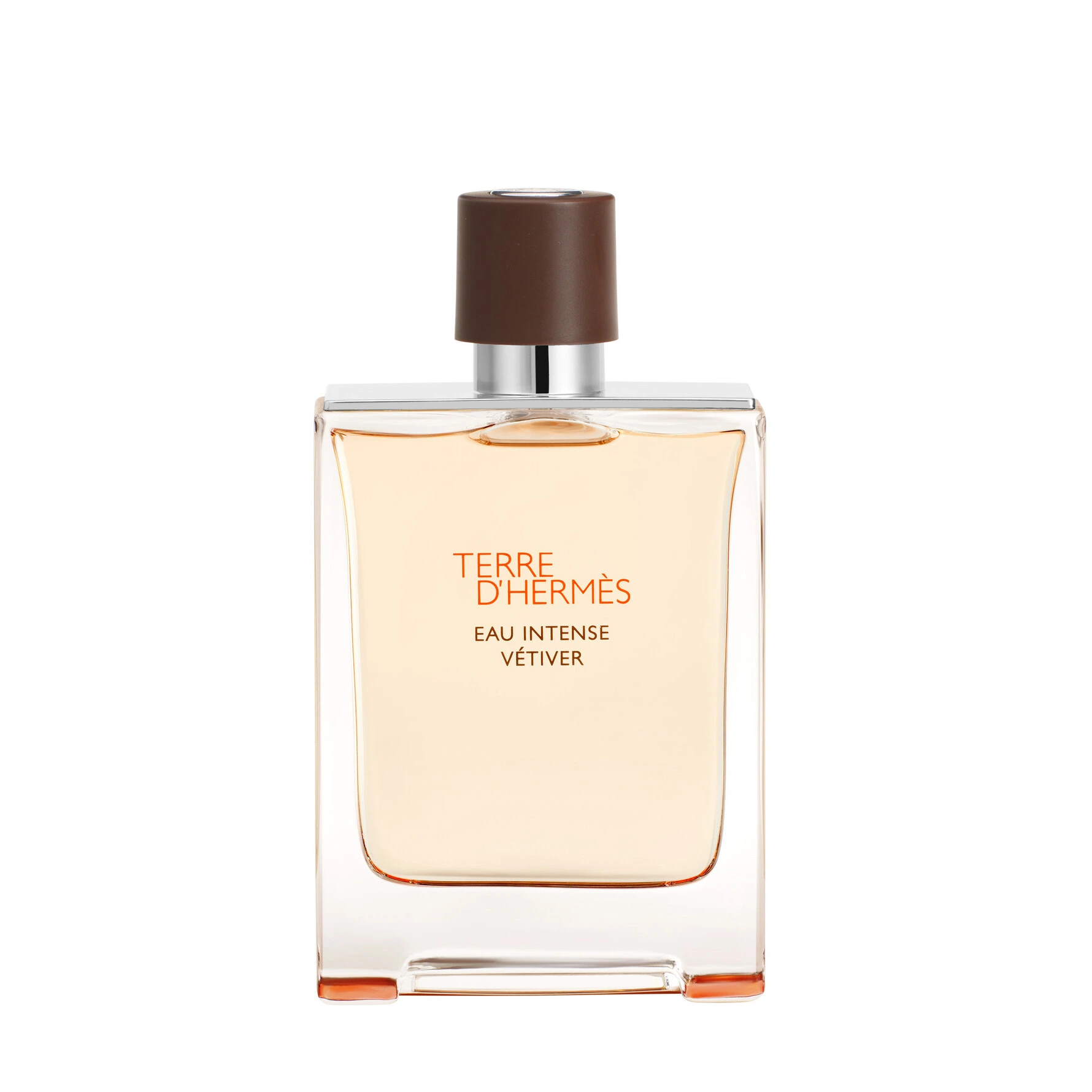 Terre d'Hermès Eau Intense Vétiver Eau de Parfum 100 ml