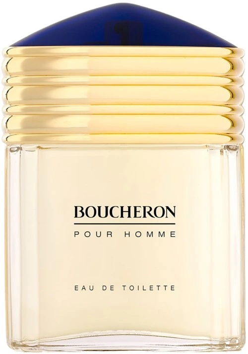 Boucheron Pour Homme Eau de Toilette 100 ml