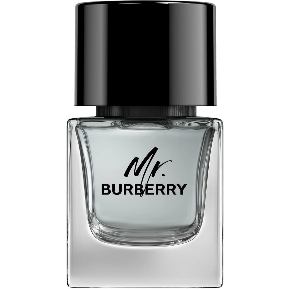 Burberry Mr Burberry EdT 100 ml