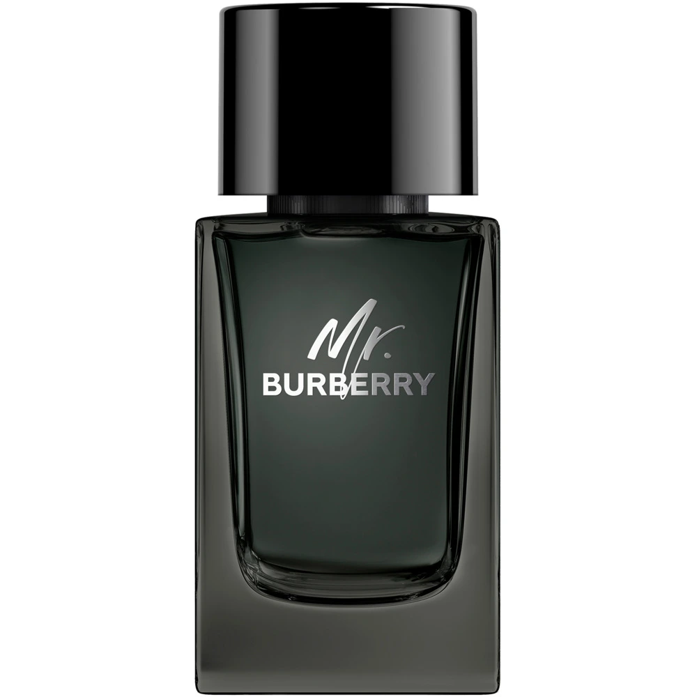 Burberry Mr. Burberry EDP M 100 ml