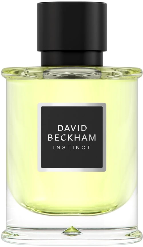 David Beckham Instinct Eau de Parfum For Men 75 ml
