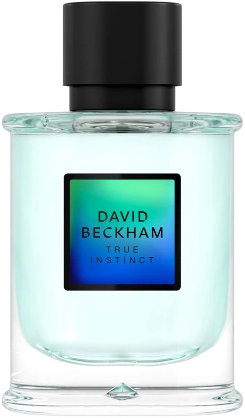 David Beckham True Instinct True Instinct Eau de Parfum For Men 75 ml