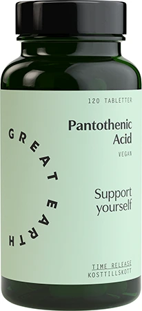 Great Earth Pantothenic Acid 120 stk