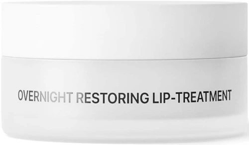 NICHE BEAUTY LAB Transparent Lab Overnight Restoring Lip-Treatment 15 ml