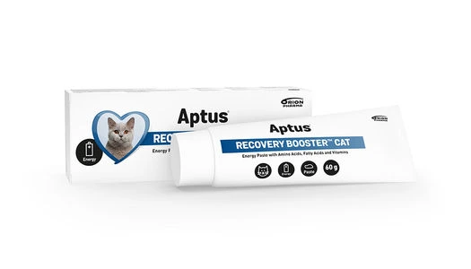 Aptus Recovery Booster pasta energitilskudd katt 60 g