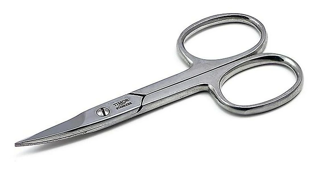 Timor Neglesaks bred, 9 cm, 1 stk.