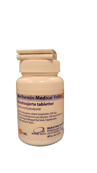 Metformin Medical Valley tab 500 mg