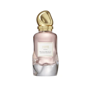 DKNY Cashmere & Wild Fig Eau de Parfum 100 ml