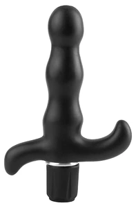 9-Function Prostate Vibe