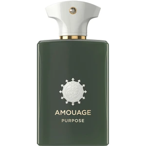 Amouage Formål Eau de Parfum unisex 100 ml