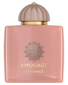 Amouage Veiledning Eau de Parfum 100 ml