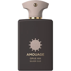 Amouage Biblioteksamling Opus XIII Sølv Oud EDP U 100 ml