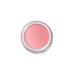 Bobbi Brown Pot Rouge Velvet Matte Petal Pink