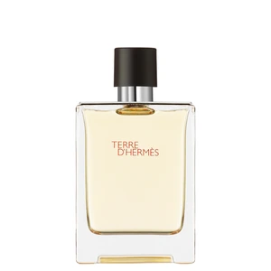 Terre D'Hermès Eau De Toilette 100 ml