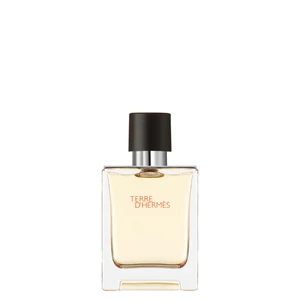 Terre D'Hermès Eau De Toilette 50 ml