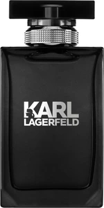 Karl Lagerfeld   Pour Homme Eau de Toilette 100 ml