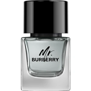 Burberry MR. Burberry EDT M 100ml