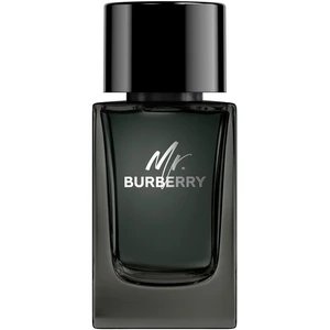 Burberry Mr. Burberry EDP M 100 ml