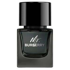 Mr. Burberry Eau de Parfum 50 ml