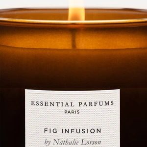 Essential Parfums Fig Infusion By Nathalie Lorson Candle 270g
