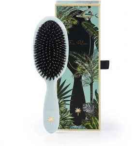 Fan Palm Medium Maldives Brush