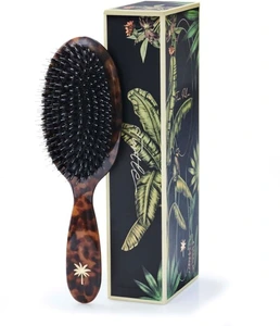 Fan Palm Medium Turtle brush