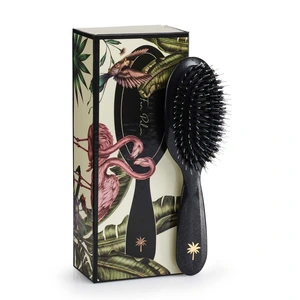 Fan Palm Small Stardust Brush