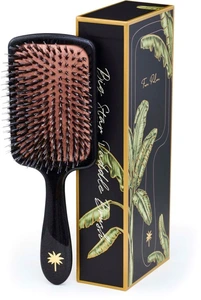 Fan Palm Large Paddle Brush Big Star