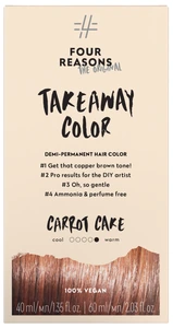 Four Reasons Take Away Color 6.4 Carrot Cake