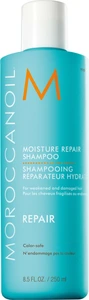 Moroccanoil Moisture Shampoo 250 stk