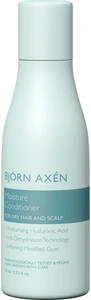 Björn Axén Moisture Moisture Conditioner Travel Size 75 ml