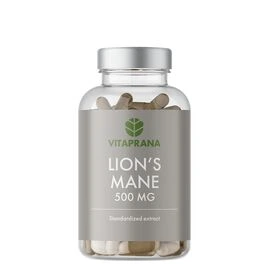 Lion's Mane 500 mg, 100 kapslar