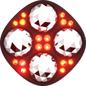 FAQ Swiss FAQ™ 411 Microcurrent Red LED Body Toning Device