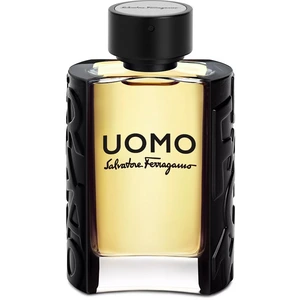 Ferragamo Ferragamo Uomo Eau de Toilette - 100 ml