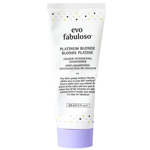 Evo Fabuloso Platinum Blonde Color Treatment 220 ml