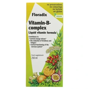 Floradix Vitamin B kompleks flytende 250 ml
