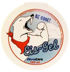 Eis-Gel 100 ml